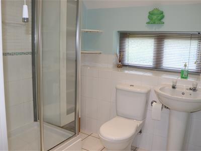 Picture 9